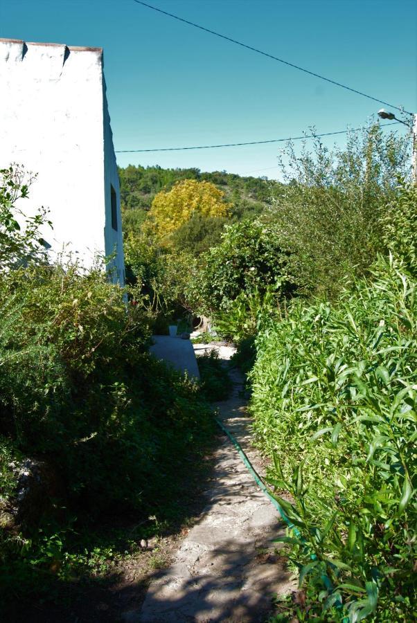 Terrafazbem Villa Marvao  Exterior photo